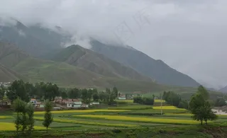 门源仙米森林公园图片