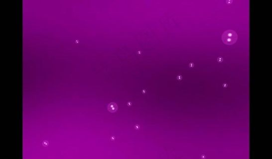 婚礼视频素材图片