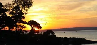 澳洲企鹅岛图片