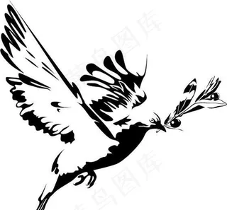 鸽子矢量素材 eps格式_02