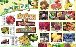水果传单图片