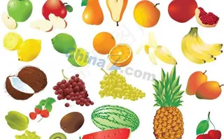各式水果矢量素材下载
