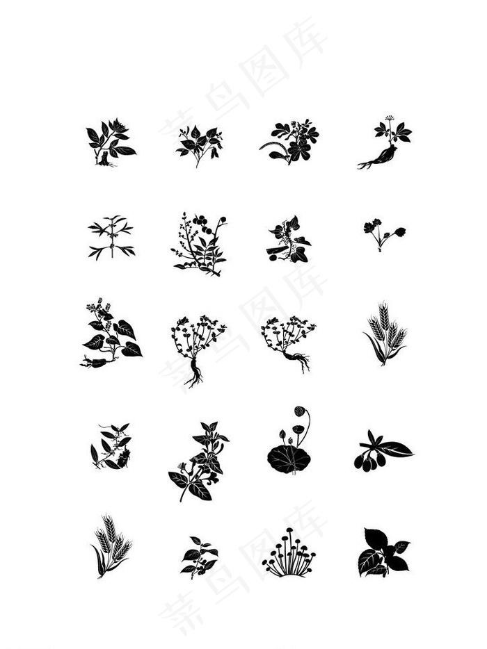 植物 草药 枸杞 草本矢量图图片