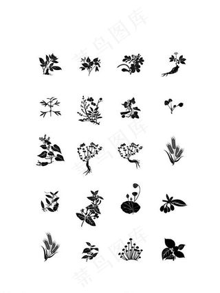 植物 草药 枸杞 草本矢量图图片