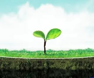 春天幼苗ppt模板