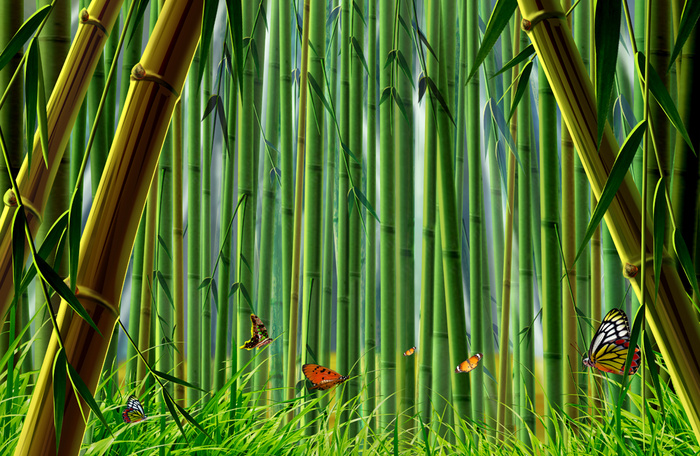 风景 竹林 蝴蝶 草(5175X3375(DPI:300))psd模版下载