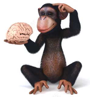 摸脑子的黑猩猩图片