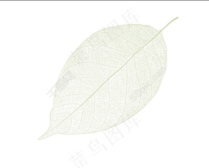 树叶ai矢量模版下载
