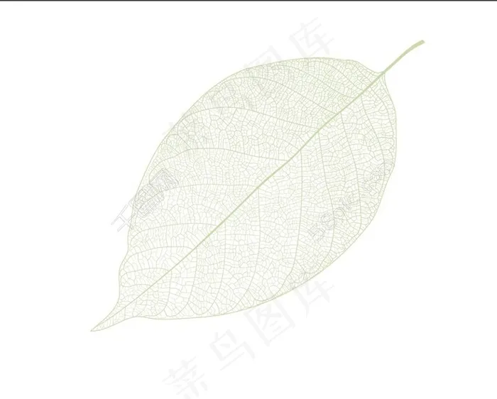 树叶ai矢量模版下载