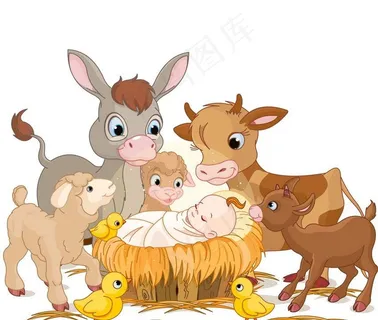 卡通马 婴儿图片