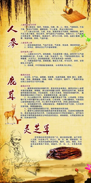 人参 鹿茸 灵芝草