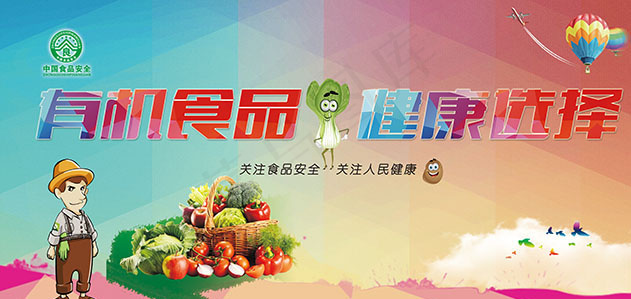 有机食品健康选择psd模版下载