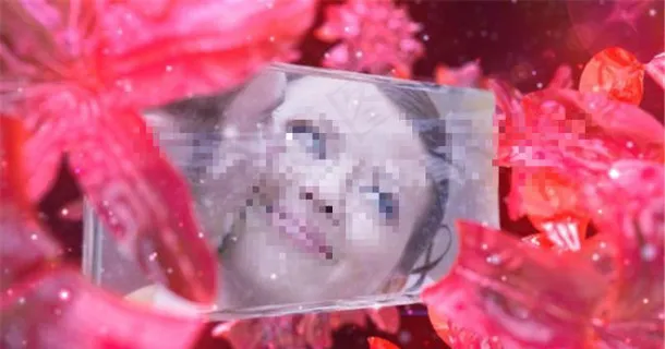 水晶花童话婚礼AE模板 水晶花童话婚礼AE模板