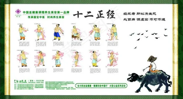 养生 十二正经图片