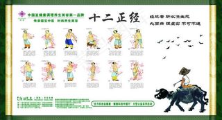 养生 十二正经图片