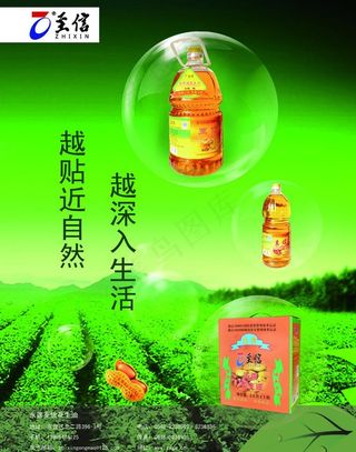 花生油海报图片