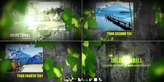 绿叶掩盖中的墙壁照片AE展示模板