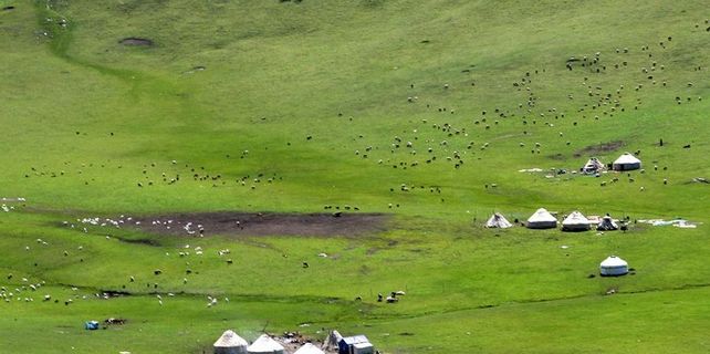 吉克普林草原图片
