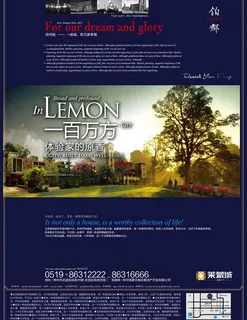 莱蒙城大盘图片