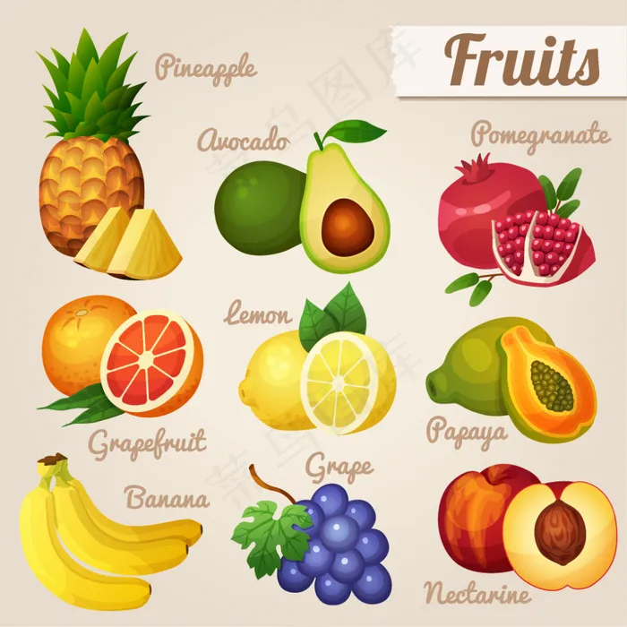 水果素材ai矢量模版下载