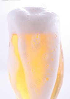 啤酒图片