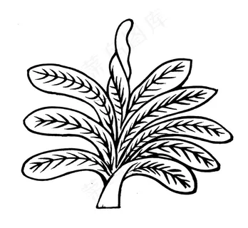 植物图案 中国传统图案_193