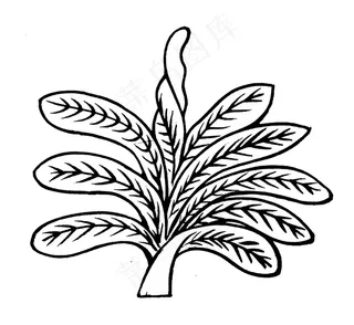 植物图案 中国传统图案_193