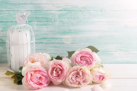 鸟笼与美丽鲜花 鸟笼与美丽鲜花