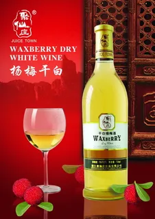 杨梅干白 酒 海报广告设计素材