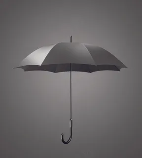 黑色雨伞图片 黑色雨伞图片