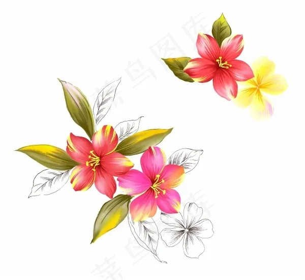 花朵花瓣psd模版下载