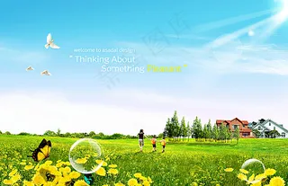 清新花草郊野风光图片