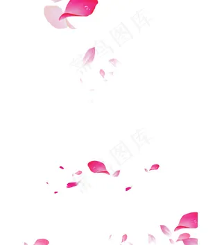 花瓣漂浮元素