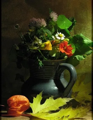 艺术花卉摄影图片