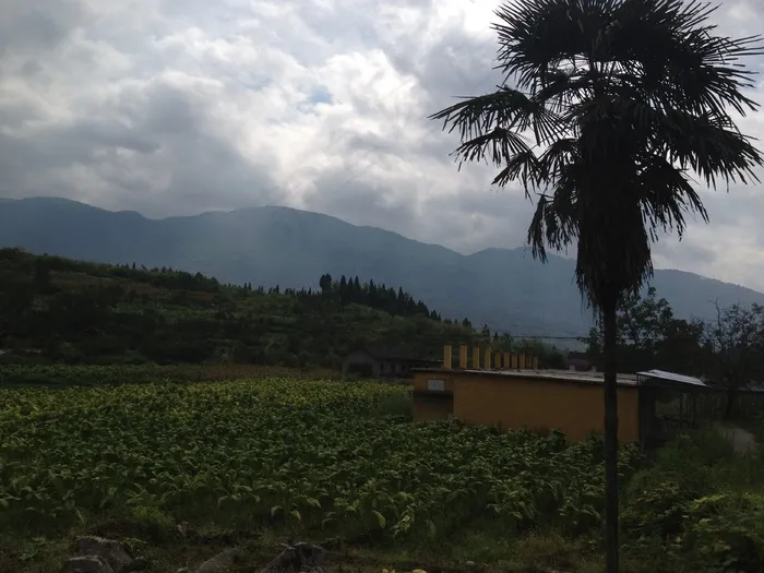 张家界乡村小景图片