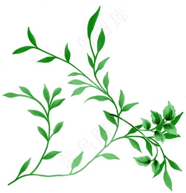 绿色树叶psd模版下载