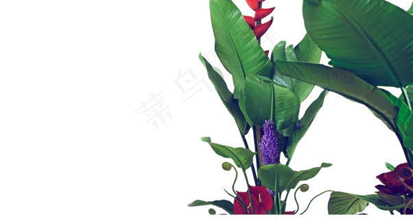 浪漫植物背景