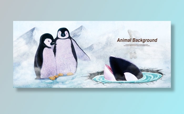 企鹅插画模板