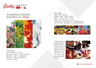 一网全城企业宣传册