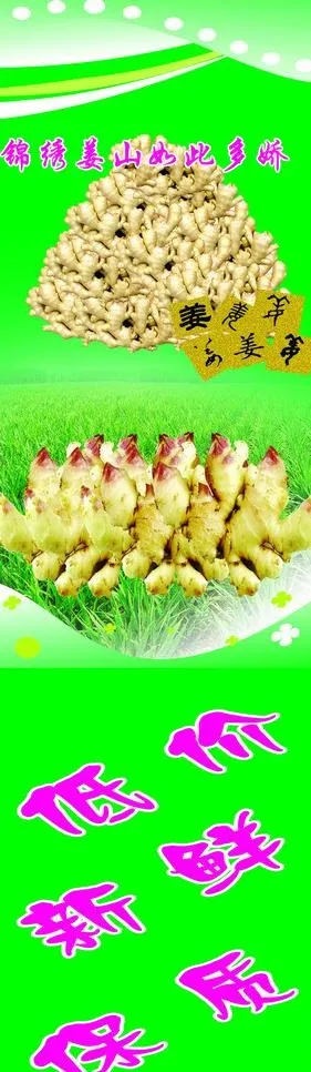 水果图片cdr矢量模版下载