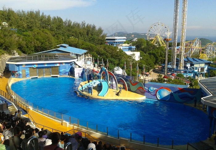 香港海洋公园 海狮图片