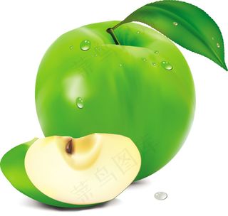 逼真水果矢量素材