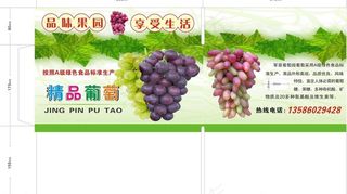水果包装箱 包装葡萄箱图片