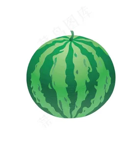 西瓜 西瓜