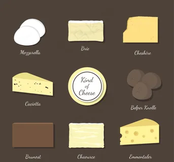 各种类型的奶酪