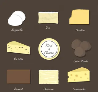 各种类型的奶酪