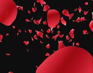 婚庆背景视频素材