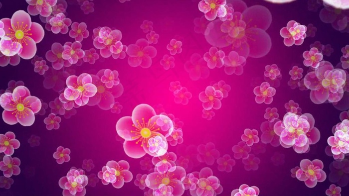 紫色桃花花放背景视频