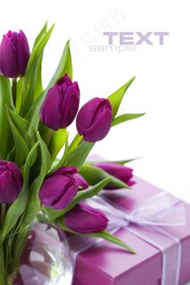 郁金香花束背景图 郁金香花束背景图