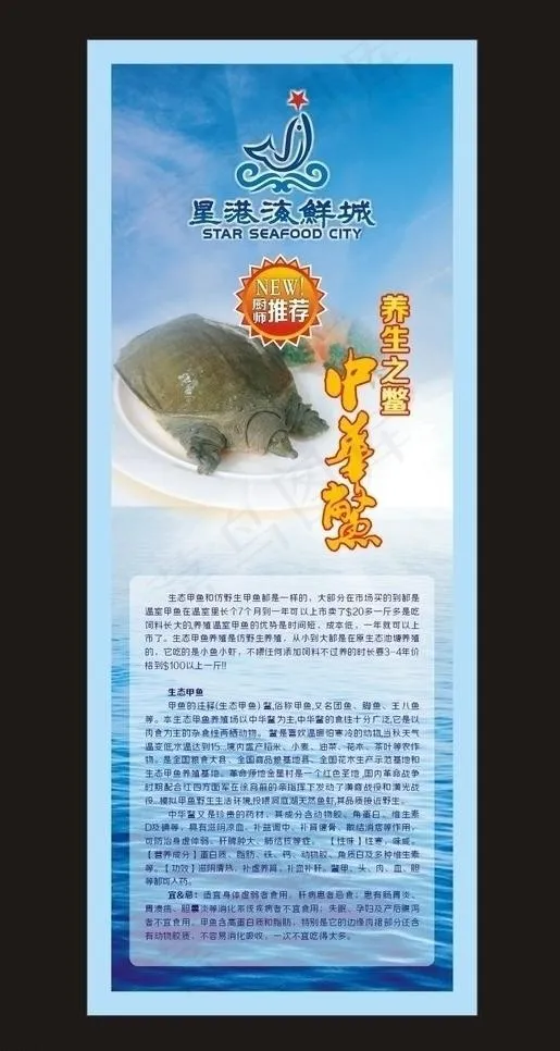 中华养生鳖图片cdr矢量模版下载